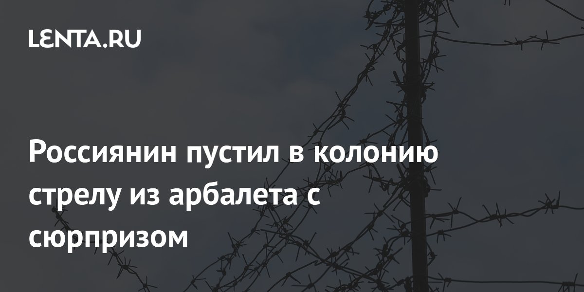Двое россиян осуждены за доставку наркотиков в колонию из арбалета