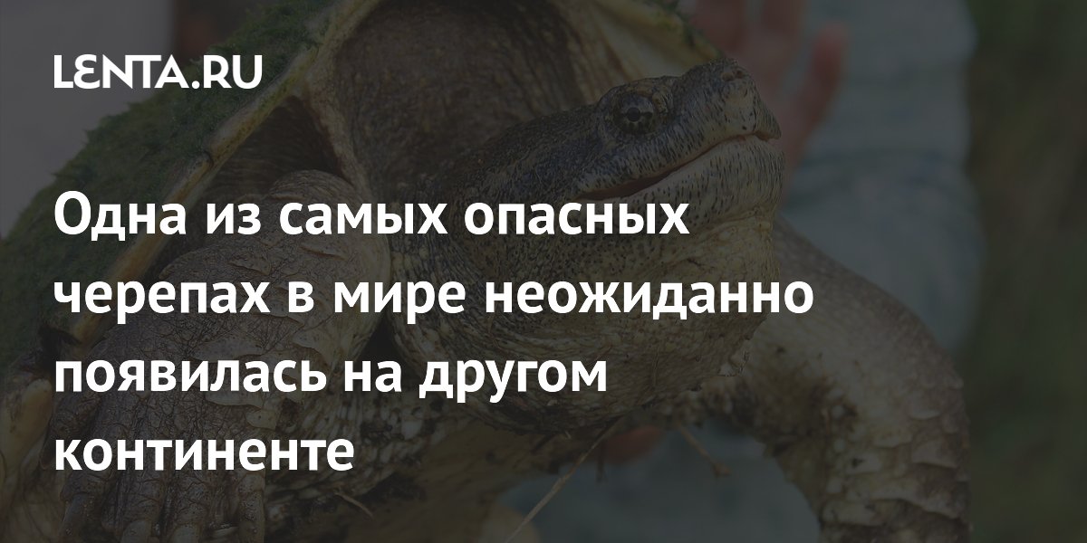 ���������� �������� ��������� � ��������������: ��� ������ � ����