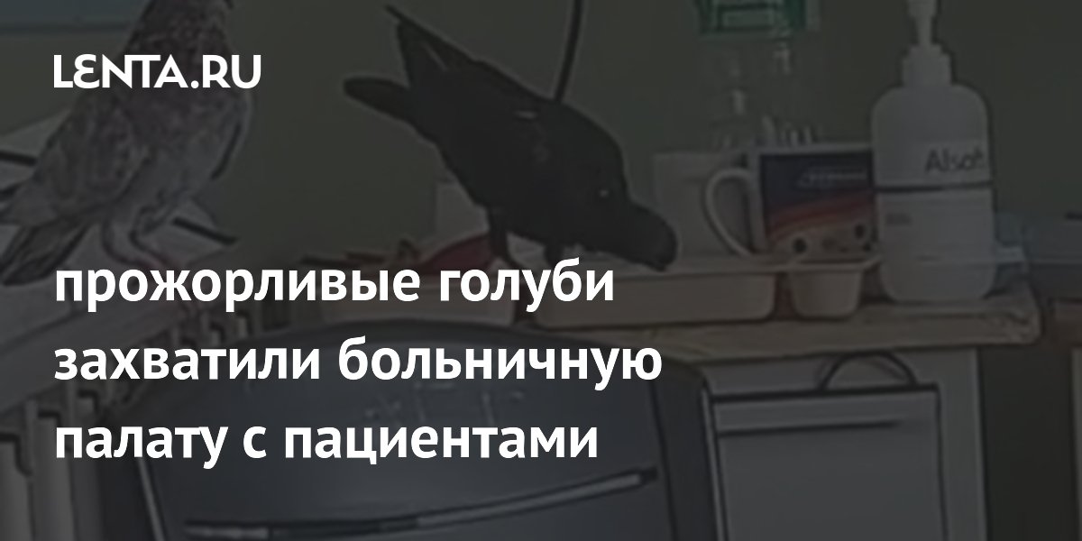 ������ ��������� ���������� ������ � ��������: ��� �������� ��� �� ����