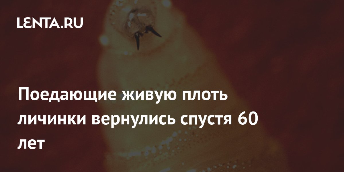 � ��� ��������� ������� �������, ��������� ����� ����� � ������ ������ �� 60 ���