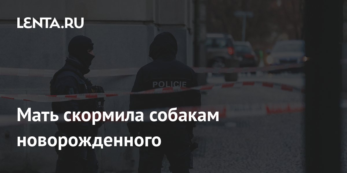 ���� � ����� �������� � �������� �������������� � ������������ ���� �������