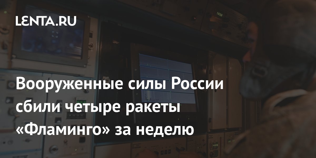 Российские ПВО за неделю уничтожили четыре ракеты «Фламинго» и около 5000 дронов