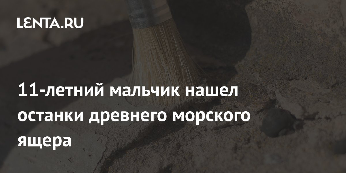 11-летний мальчик в Канзасе нашел скелет древнего морского ящера 11-летний мальчик в Канзасе нашел скелет древнего морского ящера