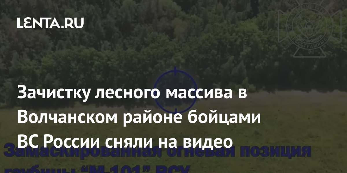 Опубликовано видео зачистки леса под Волчанском российскими штурмовиками