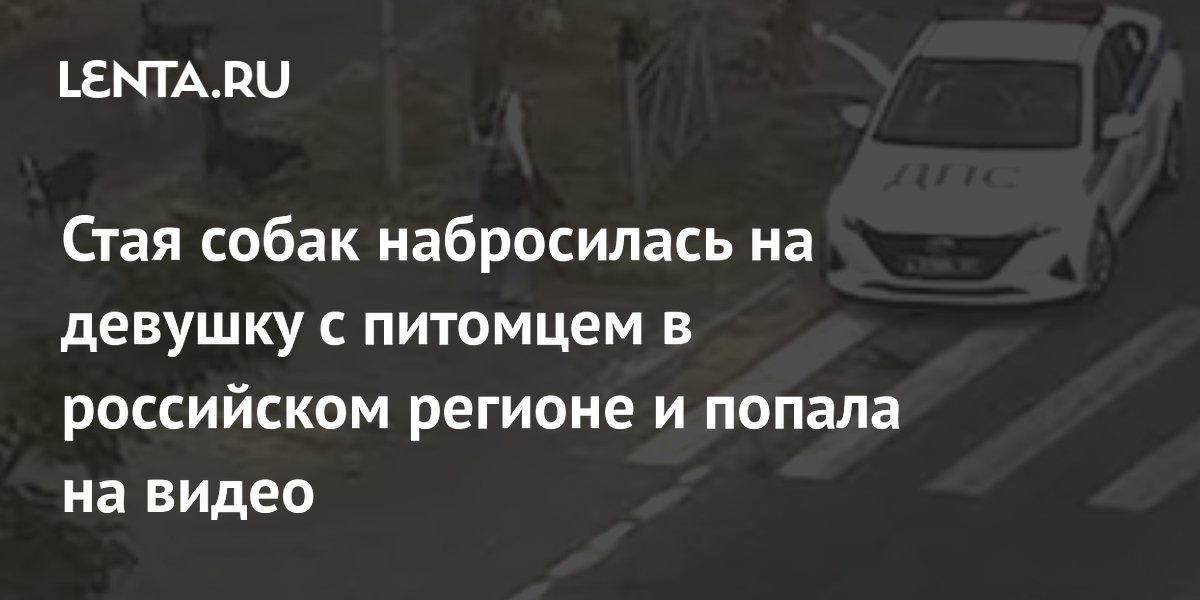Стая собак набросилась на девушку с питомцем в Кабардино-Балкарии: видео инцидента
