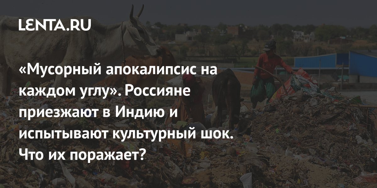 Шум, хаос и антисанитария: чем Индия удивляет российских туристов