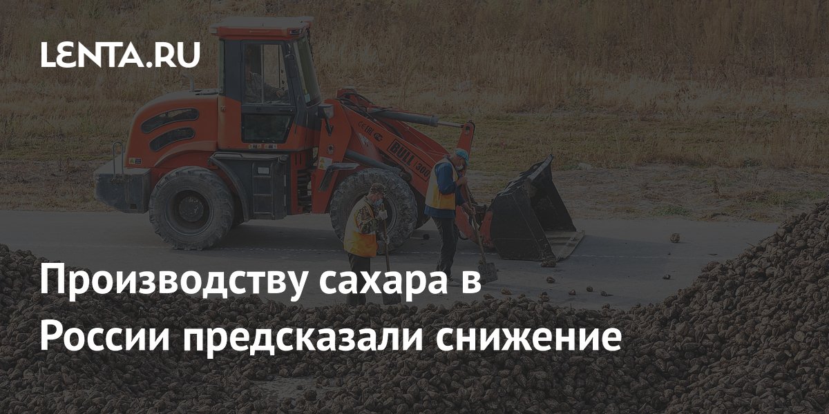 Производство сахара в России может снизиться на 10-11% в новом сезоне Производство сахара в России может снизиться на 10-11% в новом сезоне