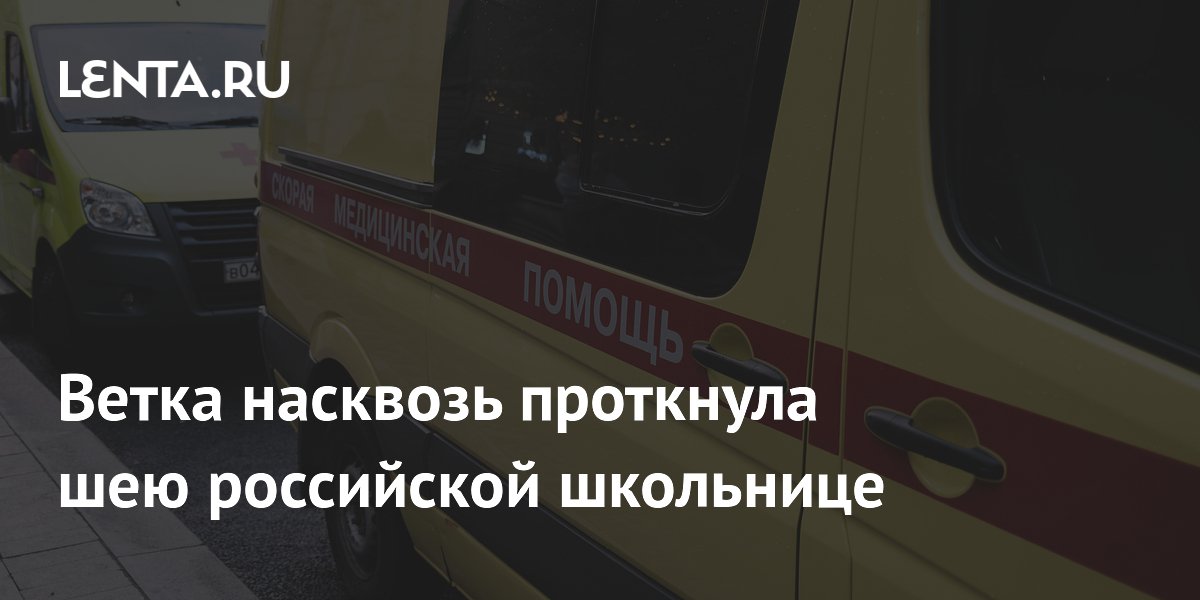 Сухая ветка проткнула шею школьнице в Ростове-на-Дону: чудом выжила