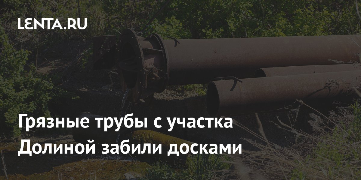 Трубы с участка Ларисы Долиной, загрязнявшие ручей, забили досками Трубы с участка Ларисы Долиной, загрязнявшие ручей, забили досками