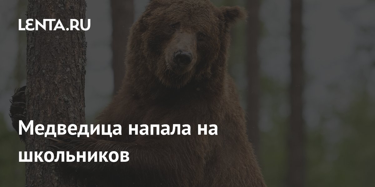 ��������� ������ �� ���������� � ������ � ���: ���� ��������� ����������������