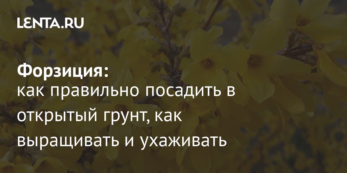 ��������: ��� ��������� �������� � ��������� ���������� ���������
