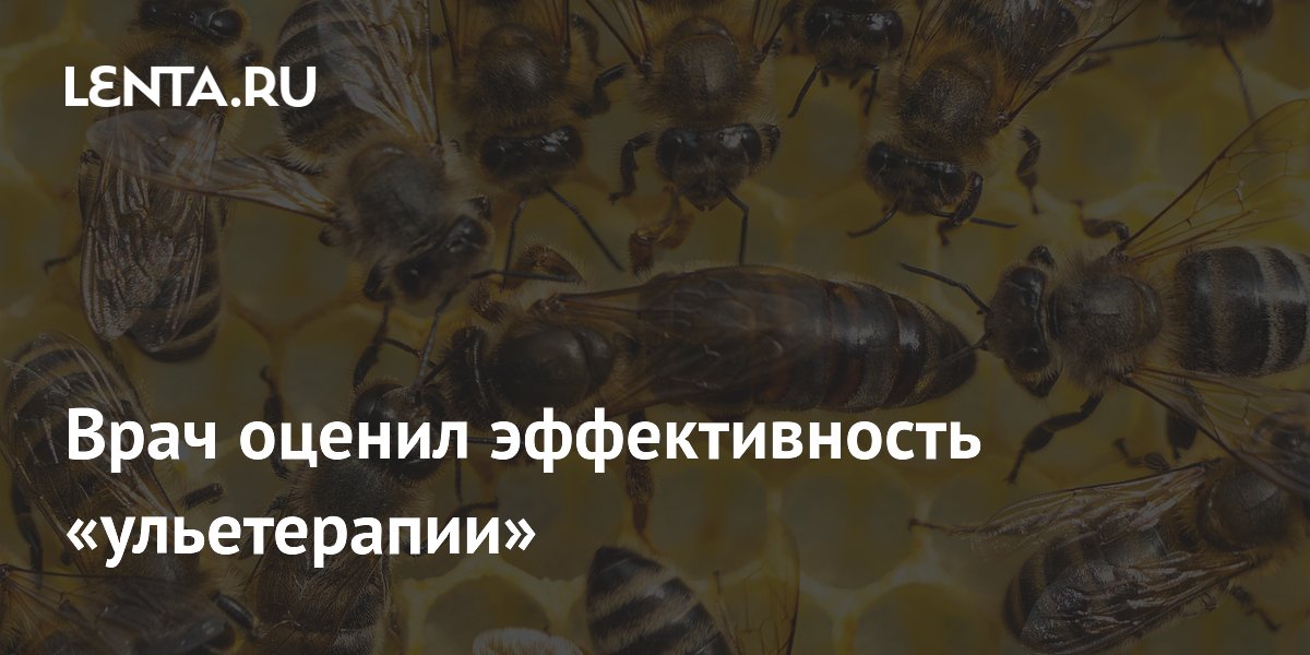 Врач оценила ульетерапию: сон с пчелами снимает стресс Врач оценила ульетерапию: сон с пчелами снимает стресс