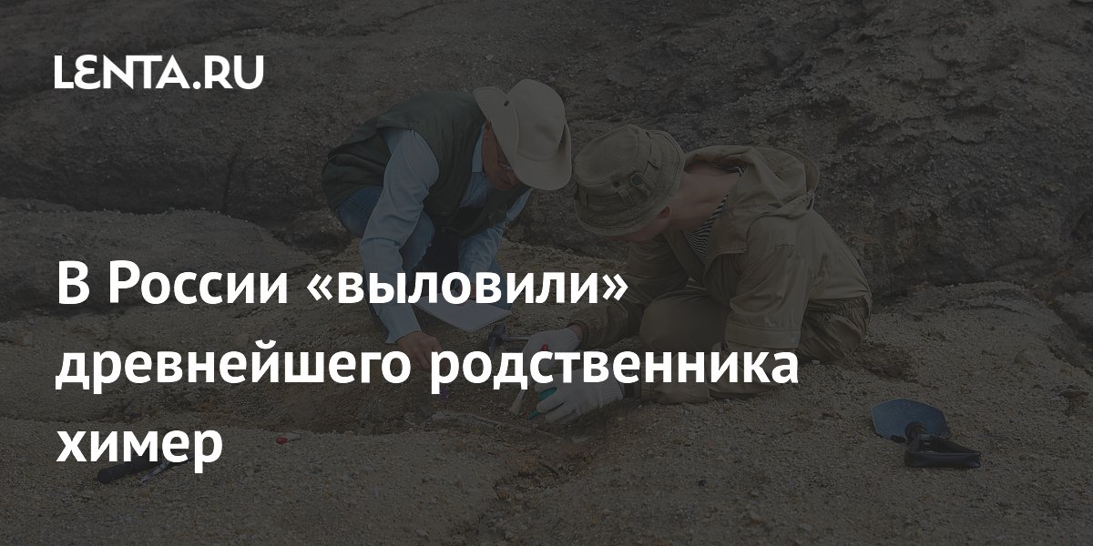 Под Тулой нашли древнейшего родственника химер с зубной спиралью