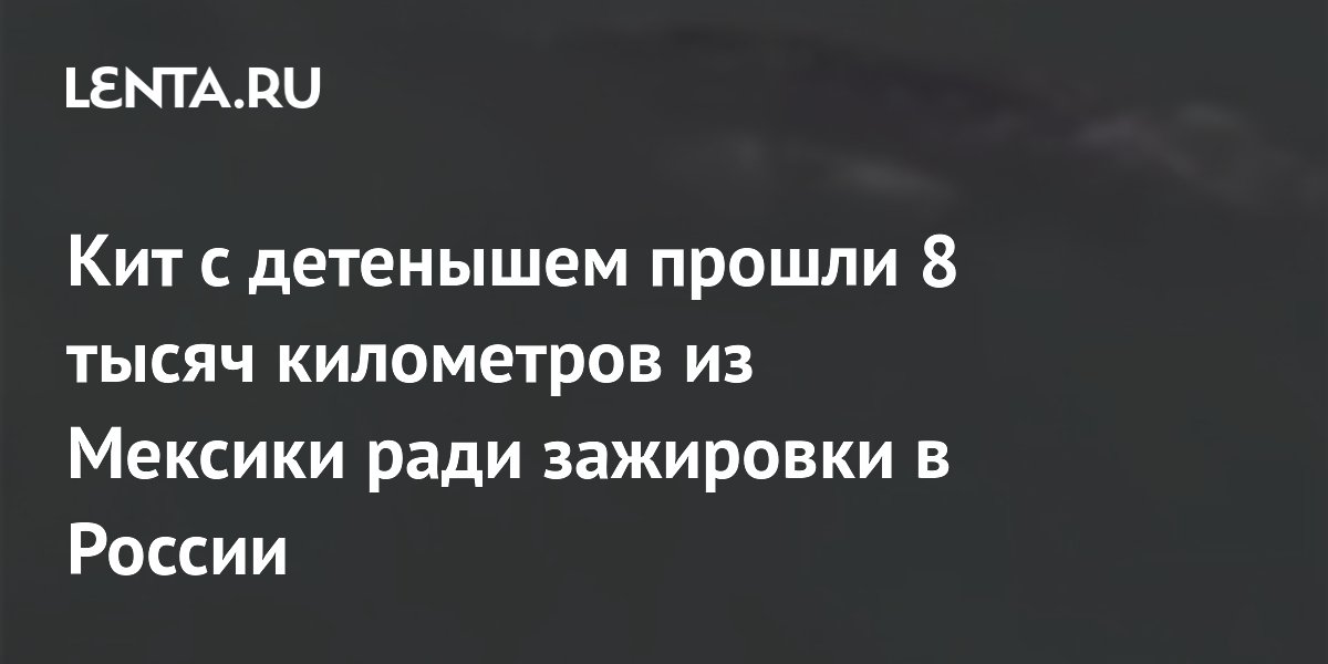 ��� � ��������� ������� 8 ����� �� �� ������� � ������ ��� ���������