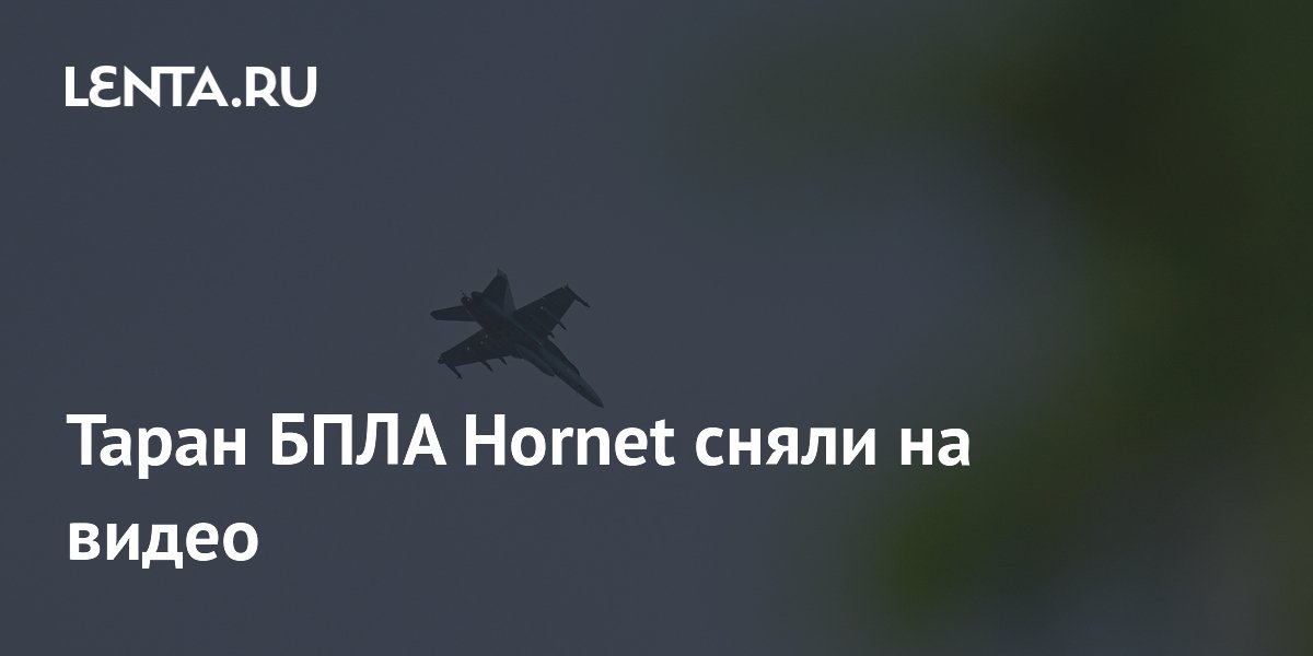 Российский дрон-перехватчик «Елка» тараном сбил БПЛА Hornet — видео