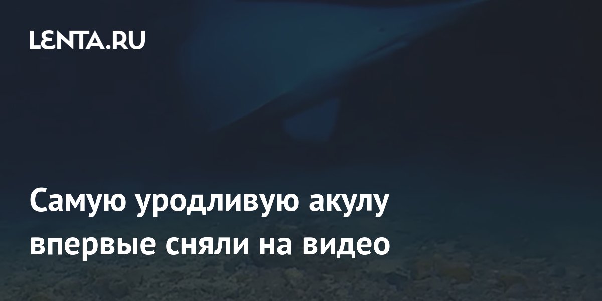 ����� ��������� ����� ������� ������ �� �����: ��� ��� �� ����