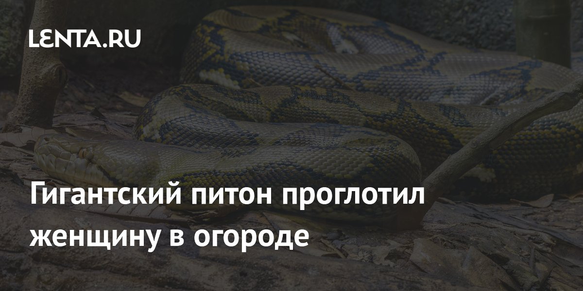 ����� ��������� ������� � ������� � ���������: ��� �������� ��������� ����