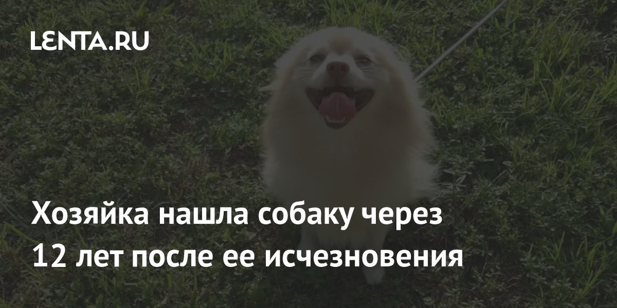 ��� �������� ����� ����� ������ ������ 12 ���: ������� �� ���