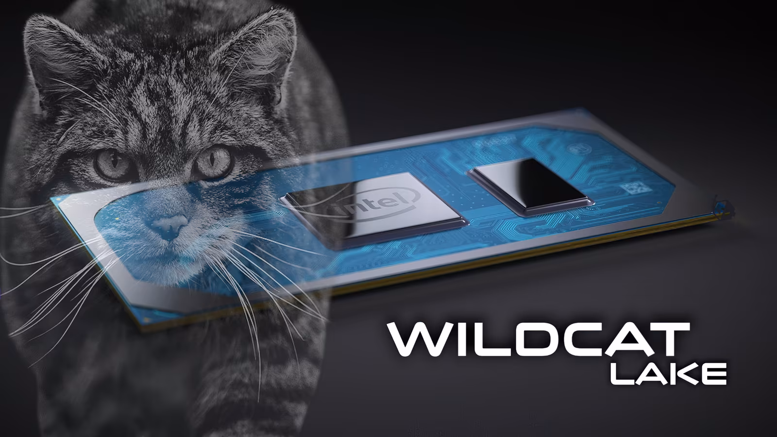 ��������� Intel Core 3 304 ����� ��������� � Apple A18 Pro �� ������������������