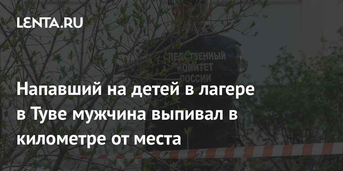 Мужчина напал на детей в лагере в Туве: перед инцидентом выпивал и не помнит мотивов