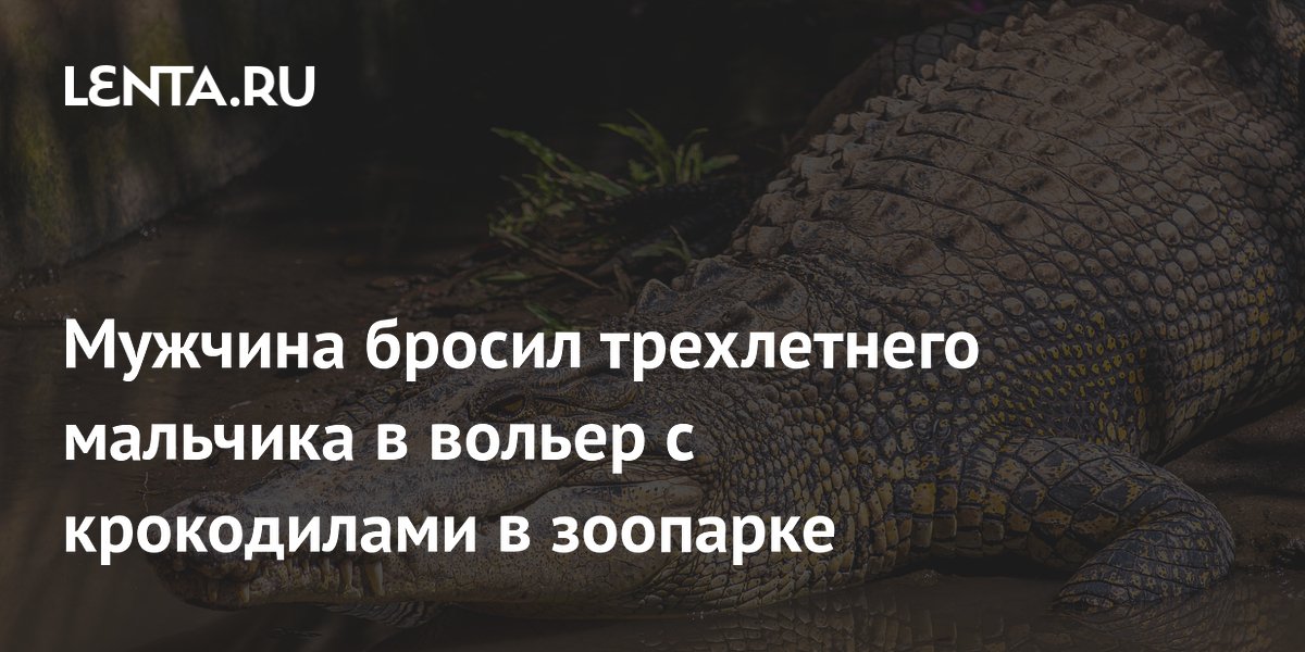 ������� � ������� � �����������: ��� �� ��������� �������� �� ���������