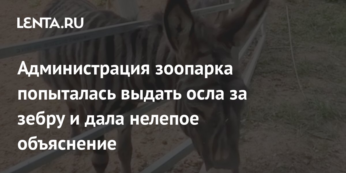 ��������� ������� ���������� ���� � �����: ���������� �������������