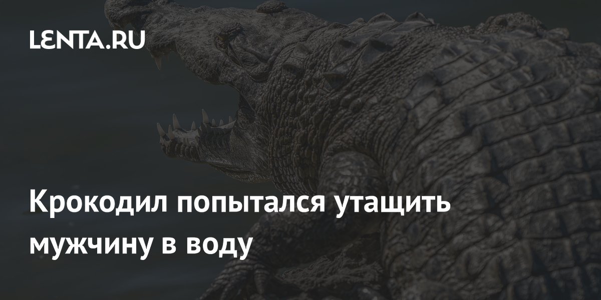 �������� ����� �� ������ � ��������: ��� �������� ����� � ����