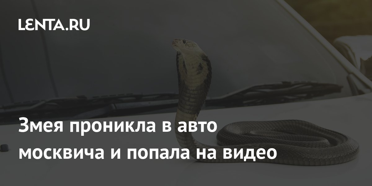 ���� �������� � ������ �������������� ���� ������ � ������: �����