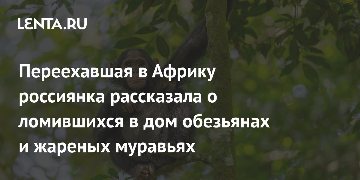 ����� � ������: ��������� ���������� �� ���������, ��������� � ������� ��������