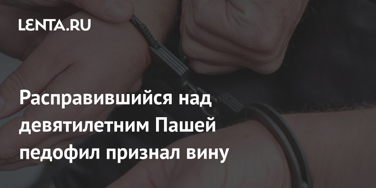 Петербуржец признал вину в убийстве 9-летнего Паши