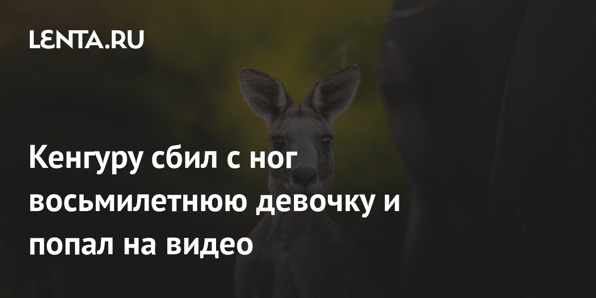 ������� �������� � ��������� � ���� � ��� �������: ����� �� ���������