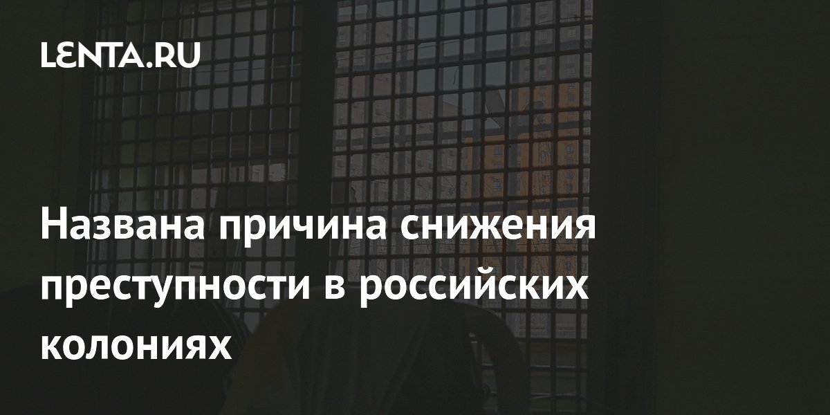 В колониях России преступность снизилась на 30%: названа причина