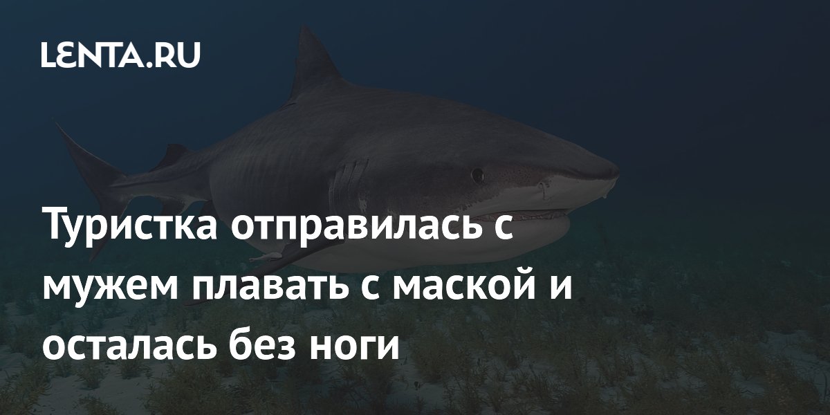 ����������� �������� ������������ ���� ����� ��������� ����� �� �����������