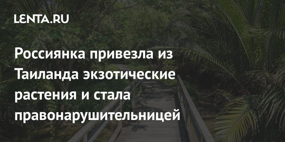 �������� �������� �� �������� 166 �������� � ��������: �� ������ ����� �� �����������