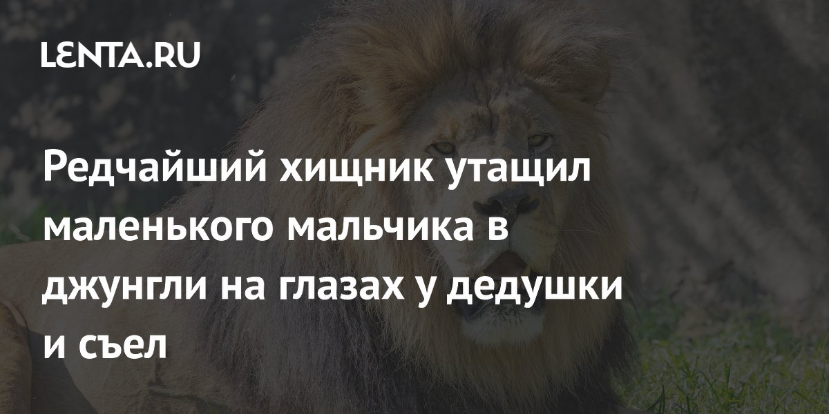 ��������� ������ ������ �� ������� � �����: �������� �� ������ � �������
