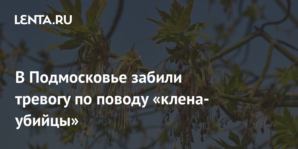 ������������ ���� �������� ����� �����������: ��� ��������