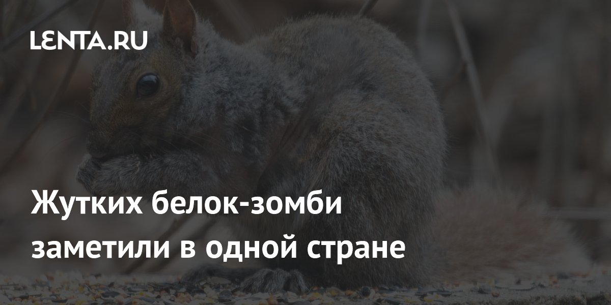 � ��� �������� �����-�����: ����� �� ������� � ��� ������ � ��������
