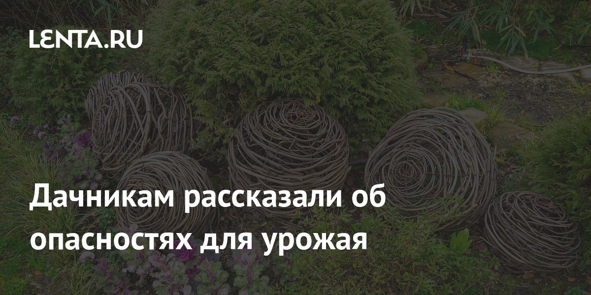 ��������� � ���������: ��� ������ ���� ��� ������ ��������