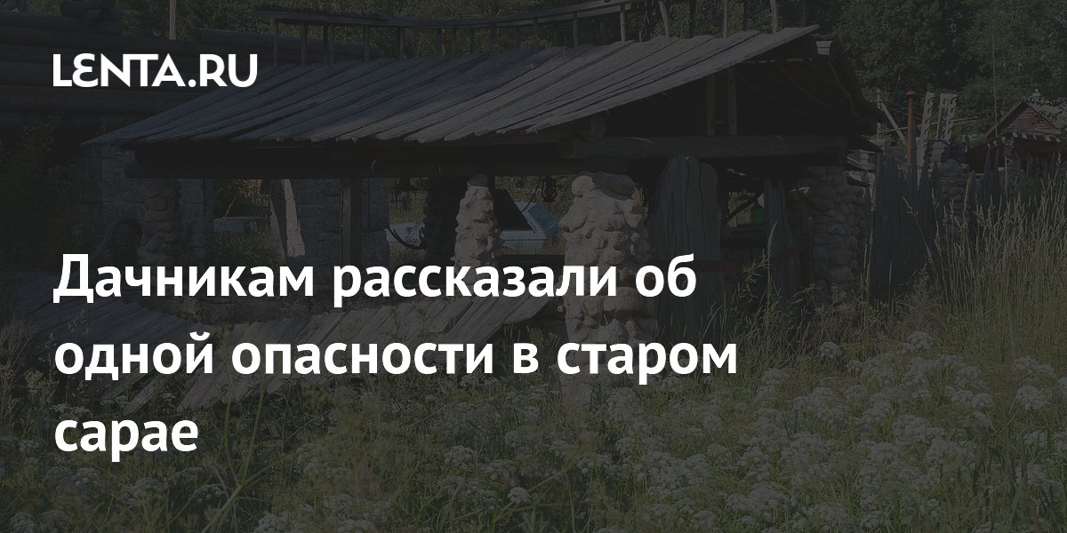 ������ ������� �����: ��� �� ���������� ������� ����������