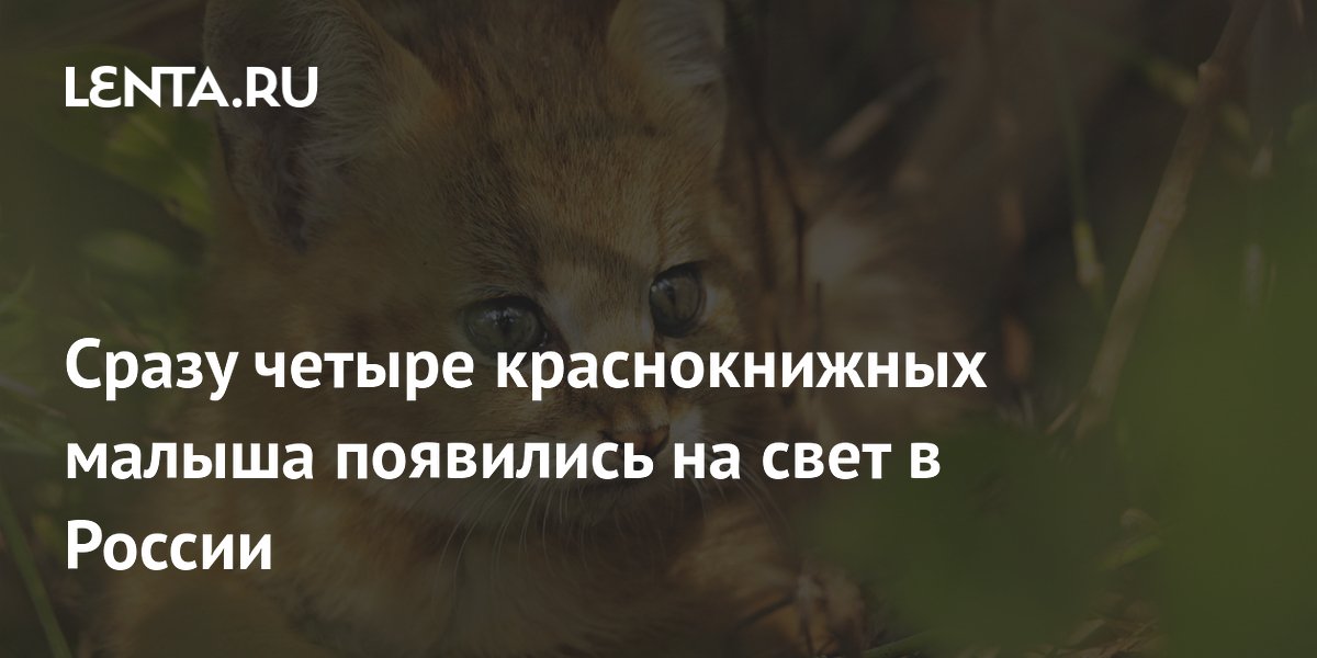 ������ ������������� ������� ���������������� ���� �������� � ������������