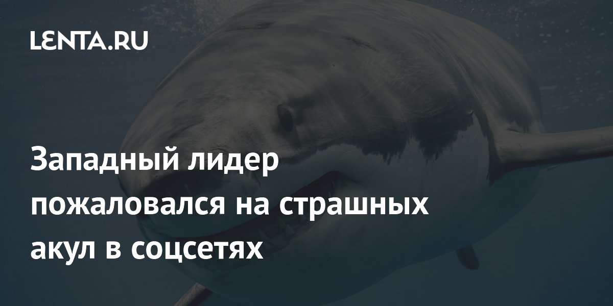 Премьер Чехии Бабиш раскритиковал соцсети из-за страшных акул в рекомендациях