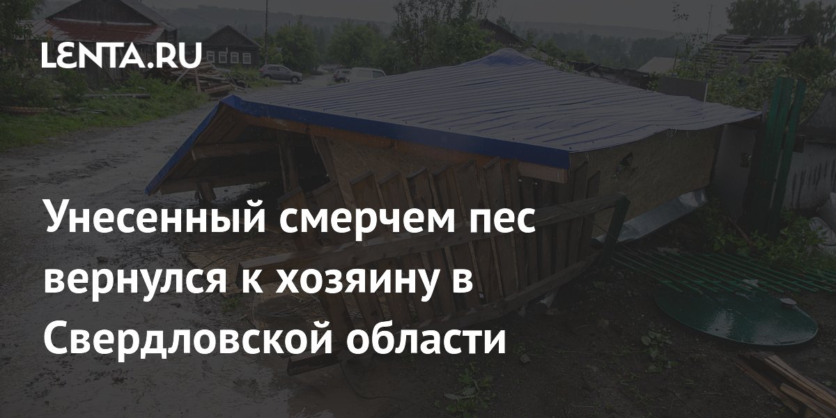 Унесенный смерчем пес вернулся к хозяину в Свердловской области: невероятное спасение Унесенный смерчем пес вернулся к хозяину в Свердловской области: невероятное спасение