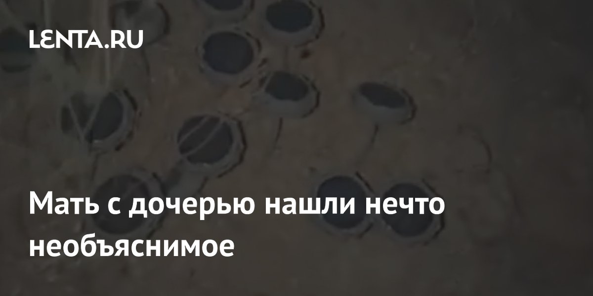 Мать и дочь нашли в лесу Калифорнии сотню динамиков, транслирующих белый шум Мать и дочь нашли в лесу Калифорнии сотню динамиков, транслирующих белый шум