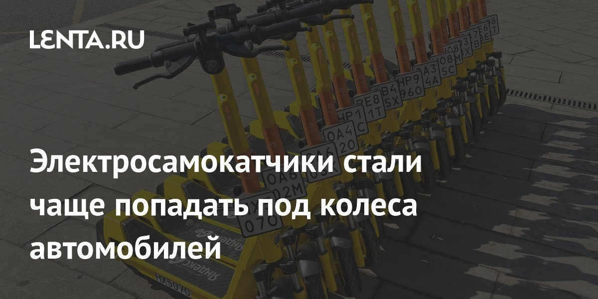 ������������������ ��� ���� �������� ��� ������: ���������� ��� �� 2026 ���