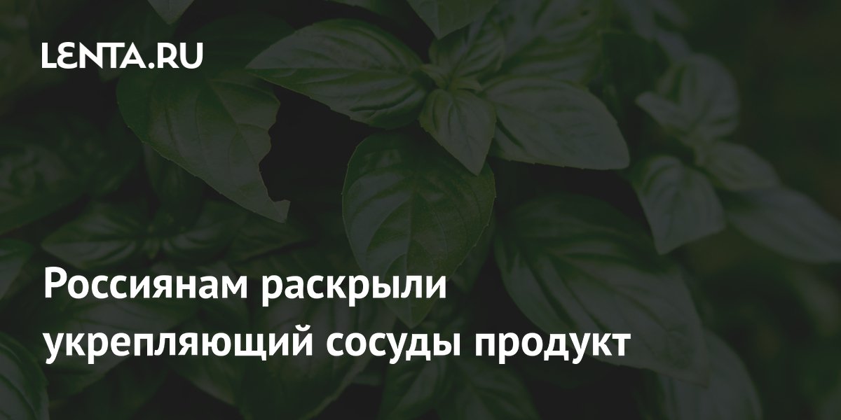 Биолог Баранова: базилик укрепляет сосуды Биолог Баранова: базилик укрепляет сосуды