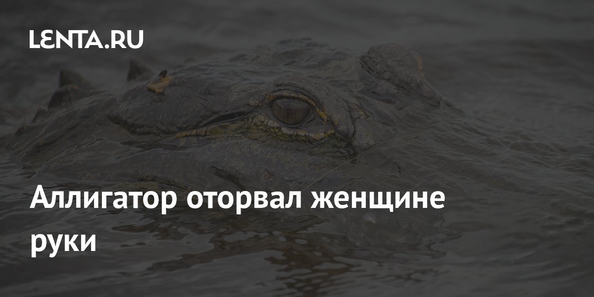 ��������� ������� ���� ������� �� �������: ������ ��������� �� ������