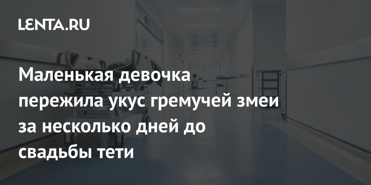 Девочка выжила после укуса гремучей змеи: как защитить детей на природе Девочка выжила после укуса гремучей змеи: как защитить детей на природе