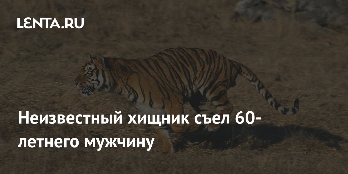 Неизвестный хищник напал на сборщика тамаринда в Индии: власти ставят фотоловушки Неизвестный хищник напал на сборщика тамаринда в Индии: власти ставят фотоловушки