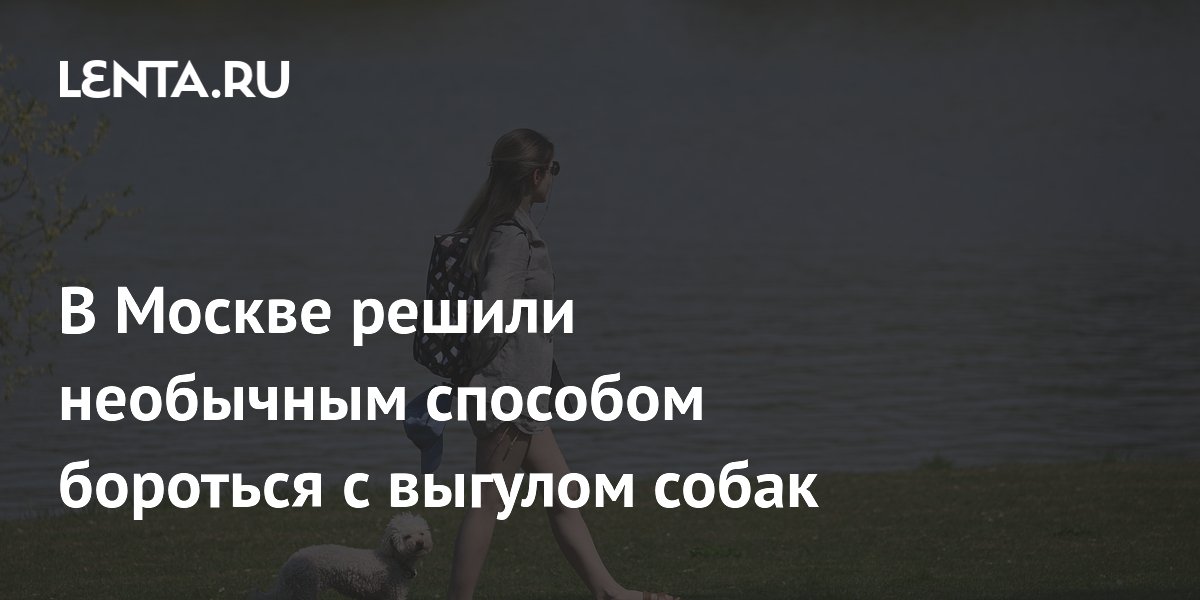 В Москве приправы против выгула собак: жители разделились во мнениях В Москве приправы против выгула собак: жители разделились во мнениях