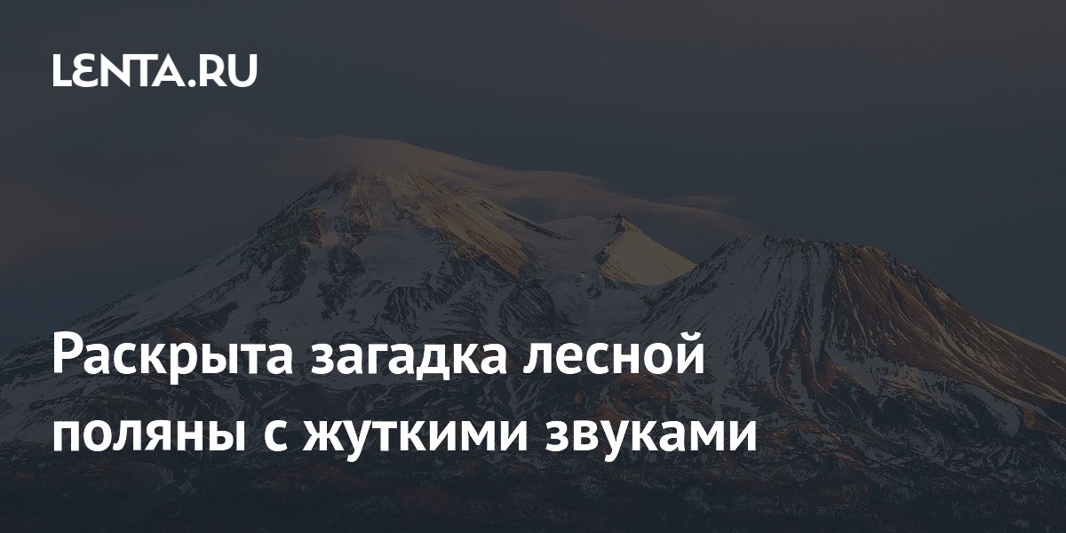 В Калифорнии раскрыли загадку лесной поляны с сотней динамиков В Калифорнии раскрыли загадку лесной поляны с сотней динамиков